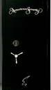 GUN SAFE.jpg